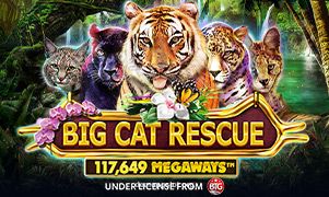 Imagem do jogo Big Cat Rescue Megaways - Demo PG Slot